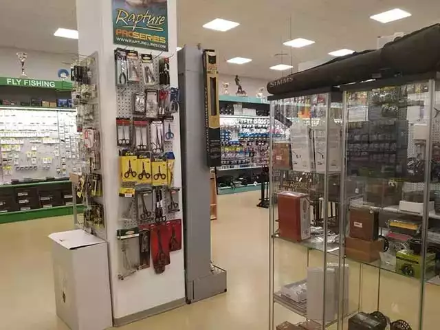 Testo alternativo