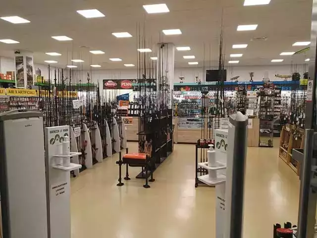 Testo alternativo